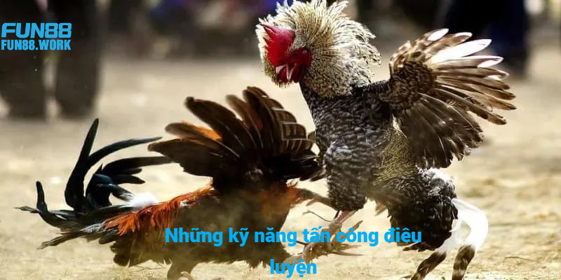 Những kỹ năng tấn công điêu luyện hạ gục đối thủ nhanh chóng